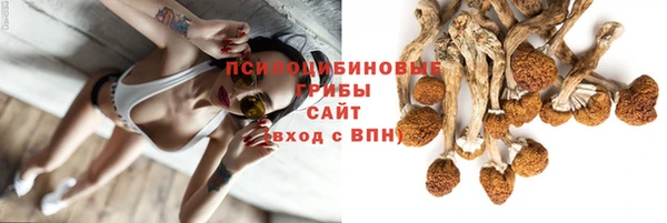 ПСИЛОЦИБИНОВЫЕ ГРИБЫ Армянск