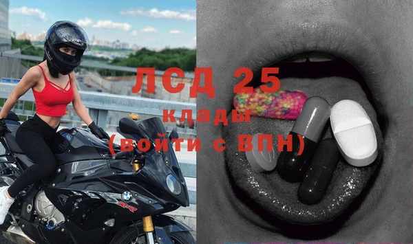 ПСИЛОЦИБИНОВЫЕ ГРИБЫ Армянск