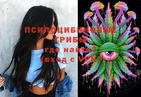 гашик Аркадак