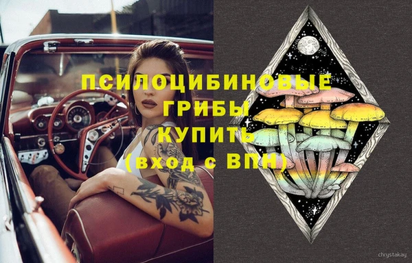 каннабис Арсеньев