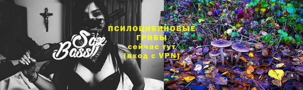 гашик Аркадак